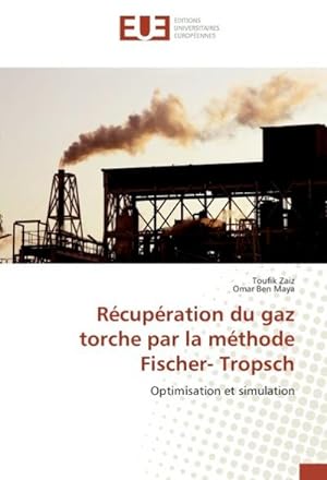 Seller image for Rcupration du gaz torche par la mthode Fischer- Tropsch for sale by BuchWeltWeit Ludwig Meier e.K.