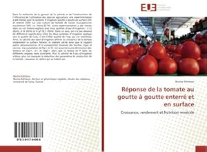 Image du vendeur pour Rponse de la tomate au goutte  goutte enterr et en surface mis en vente par BuchWeltWeit Ludwig Meier e.K.