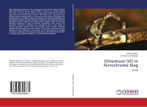 Imagen del vendedor de Chromium (VI) in Ferrochrome Slag a la venta por BuchWeltWeit Ludwig Meier e.K.