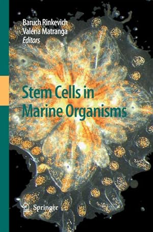 Seller image for Stem Cells in Marine Organisms for sale by BuchWeltWeit Ludwig Meier e.K.