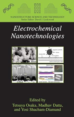 Seller image for Electrochemical Nanotechnologies for sale by BuchWeltWeit Ludwig Meier e.K.