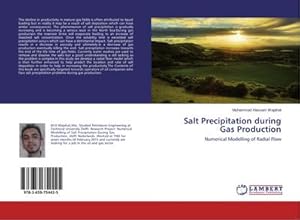 Seller image for Salt Precipitation during Gas Production for sale by BuchWeltWeit Ludwig Meier e.K.