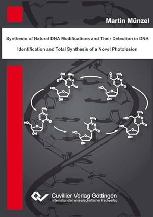 Seller image for Synthese natrlicher DNA Modifikationen und deren Detektion in DNA - Identifikation und Totalsynthese eines neuartigen DNA Photoschadens for sale by BuchWeltWeit Ludwig Meier e.K.