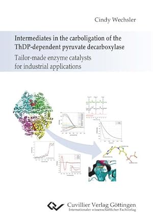 Seller image for Intermediates in the carboligation of the ThDP-dependent pyruvate decarboxylase. Tailor-made enzyme catalysts for industrial applications for sale by BuchWeltWeit Ludwig Meier e.K.