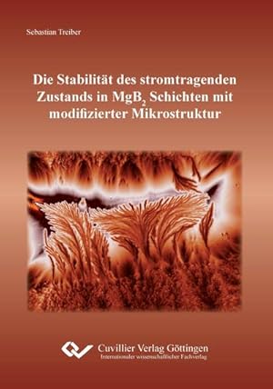 Seller image for Die Stabilitt des stromtragenden Zustands in MgB2 Schichten mit modifizierter Mikrostruktur for sale by BuchWeltWeit Ludwig Meier e.K.