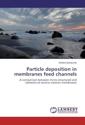 Seller image for Particle deposition in membranes feed channels for sale by BuchWeltWeit Ludwig Meier e.K.