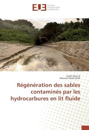 Imagen del vendedor de Rgnration des sables contamins par les hydrocarbures en lit fluide a la venta por BuchWeltWeit Ludwig Meier e.K.