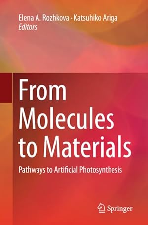 Immagine del venditore per From Molecules to Materials venduto da BuchWeltWeit Ludwig Meier e.K.