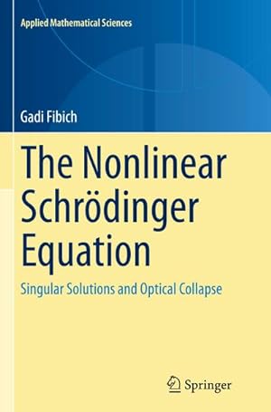 Immagine del venditore per The Nonlinear Schrdinger Equation venduto da BuchWeltWeit Ludwig Meier e.K.
