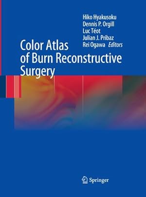 Immagine del venditore per Color Atlas of Burn Reconstructive Surgery venduto da BuchWeltWeit Ludwig Meier e.K.