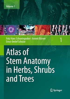 Image du vendeur pour Atlas of Stem Anatomy in Herbs, Shrubs and Trees mis en vente par BuchWeltWeit Ludwig Meier e.K.