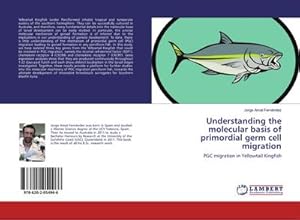 Imagen del vendedor de Understanding the molecular basis of primordial germ cell migration a la venta por BuchWeltWeit Ludwig Meier e.K.