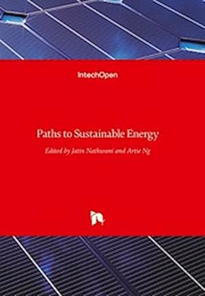 Seller image for Paths to Sustainable Energy for sale by BuchWeltWeit Ludwig Meier e.K.