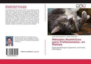 Imagen del vendedor de M�todos Num�ricos para Profesionales, en Matlab a la venta por BuchWeltWeit Ludwig Meier e.K.
