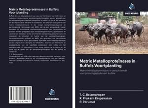 Seller image for Matrix Metalloprotenases in Buffels Voortplanting for sale by BuchWeltWeit Ludwig Meier e.K.