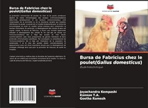 Seller image for Bursa de Fabricius chez le poulet(Gallus domesticus) for sale by BuchWeltWeit Ludwig Meier e.K.