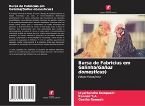 Seller image for Bursa de Fabricius em Galinha(Gallus domesticus) for sale by BuchWeltWeit Ludwig Meier e.K.