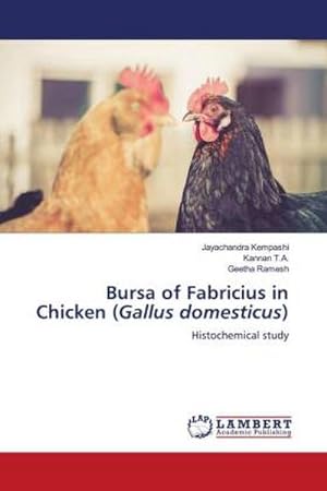 Seller image for Bursa of Fabricius in Chicken (Gallus domesticus) for sale by BuchWeltWeit Ludwig Meier e.K.