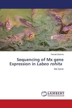 Imagen del vendedor de Sequencing of Mx gene Expression in Labeo rohita a la venta por BuchWeltWeit Ludwig Meier e.K.
