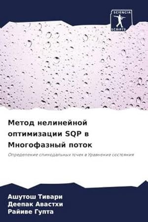 Seller image for Metod nelinejnoj optimizacii SQP w Mnogofaznyj potok for sale by BuchWeltWeit Ludwig Meier e.K.
