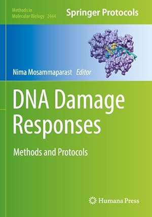 Seller image for DNA Damage Responses for sale by BuchWeltWeit Ludwig Meier e.K.