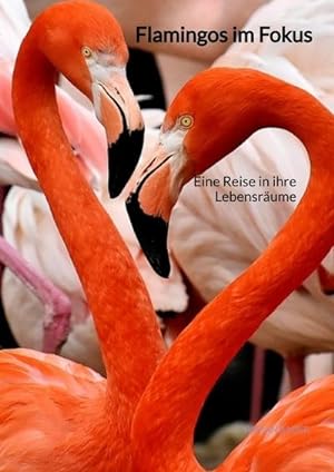 Bild des Verkufers fr Flamingos im Fokus zum Verkauf von BuchWeltWeit Ludwig Meier e.K.