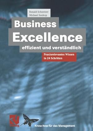 Seller image for Business Excellence effizient und verstndlich for sale by BuchWeltWeit Ludwig Meier e.K.