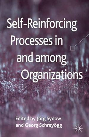 Immagine del venditore per Self-Reinforcing Processes in and among Organizations venduto da BuchWeltWeit Ludwig Meier e.K.