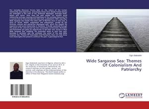 Seller image for Wide Sargasso Sea: Themes Of Colonialism And Patriarchy for sale by BuchWeltWeit Ludwig Meier e.K.