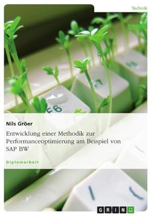 Seller image for Entwicklung einer Methodik zur Performanceoptimierung am Beispiel von SAP BW for sale by BuchWeltWeit Ludwig Meier e.K.