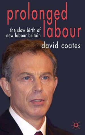 Imagen del vendedor de Prolonged Labour: The Slow Birth of New Labour in Britain a la venta por BuchWeltWeit Ludwig Meier e.K.