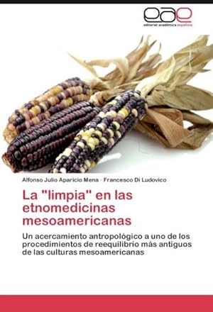 Bild des Verkufers fr La "limpia" en las etnomedicinas mesoamericanas zum Verkauf von BuchWeltWeit Ludwig Meier e.K.