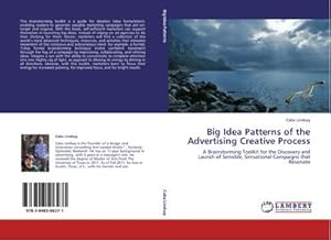 Immagine del venditore per Big Idea Patterns of the Advertising Creative Process venduto da BuchWeltWeit Ludwig Meier e.K.