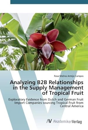 Imagen del vendedor de Analyzing B2B Relationships in the Supply Management of Tropical Fruit a la venta por BuchWeltWeit Ludwig Meier e.K.