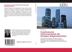 Immagine del venditore per Insolvencia Internacional de Grupos Empresariales venduto da BuchWeltWeit Ludwig Meier e.K.