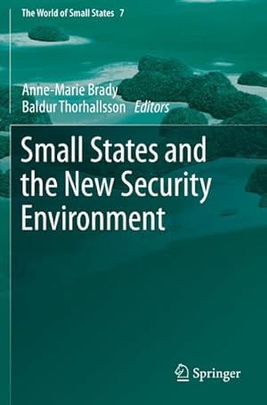 Immagine del venditore per Small States and the New Security Environment venduto da BuchWeltWeit Ludwig Meier e.K.