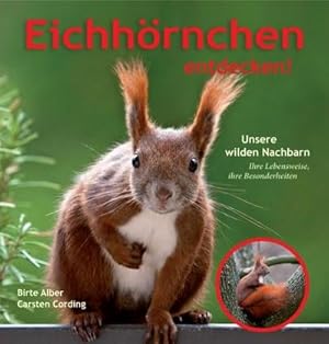 Image du vendeur pour Eichhrnchen entdecken! mis en vente par BuchWeltWeit Ludwig Meier e.K.