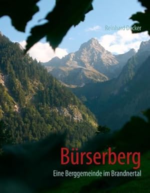 Seller image for Brserberg for sale by BuchWeltWeit Ludwig Meier e.K.