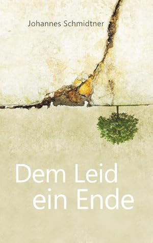 Seller image for Dem Leid ein Ende for sale by BuchWeltWeit Ludwig Meier e.K.