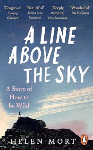 Seller image for A Line Above the Sky for sale by BuchWeltWeit Ludwig Meier e.K.