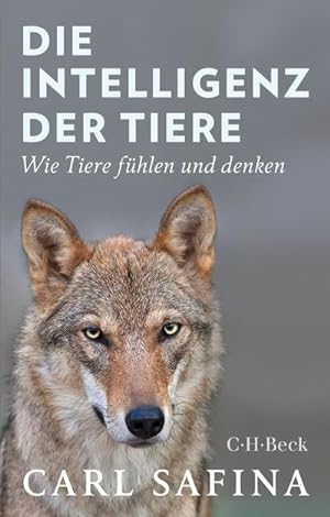 Immagine del venditore per Die Intelligenz der Tiere venduto da BuchWeltWeit Ludwig Meier e.K.