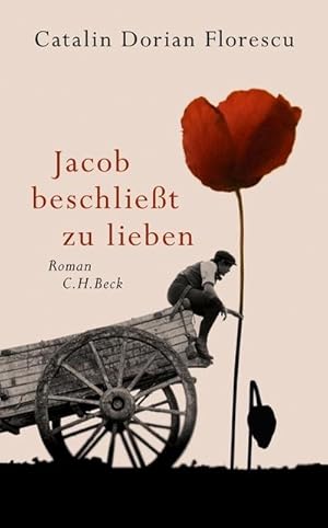 Seller image for Jacob beschliet zu lieben for sale by BuchWeltWeit Ludwig Meier e.K.