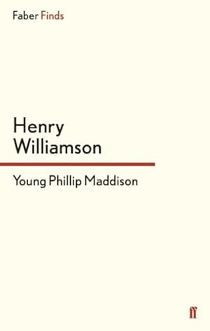 Seller image for Young Phillip Maddison for sale by BuchWeltWeit Ludwig Meier e.K.