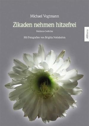 Seller image for Zikaden nehmen hitzefrei for sale by BuchWeltWeit Ludwig Meier e.K.