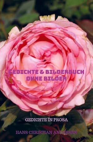 Seller image for Gedichte & Bilderbuch ohne BIlder for sale by BuchWeltWeit Ludwig Meier e.K.