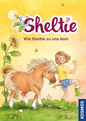Seller image for Sheltie - Wie Sheltie zu uns kam for sale by BuchWeltWeit Ludwig Meier e.K.