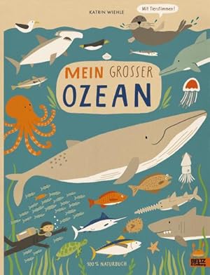 Seller image for Mein groer Ozean for sale by BuchWeltWeit Ludwig Meier e.K.
