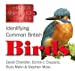 Seller image for Identifying Common British Birds (Handy Petcare Guides) [Soft Cover ] for sale by booksXpress