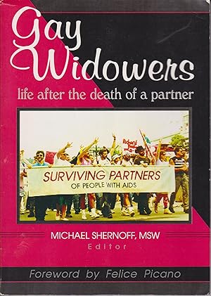 Seller image for Gay Widowers - Life After the Death of a Partner for sale by Robinson Street Books, IOBA