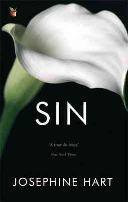 Seller image for Sin for sale by GreatBookPricesUK